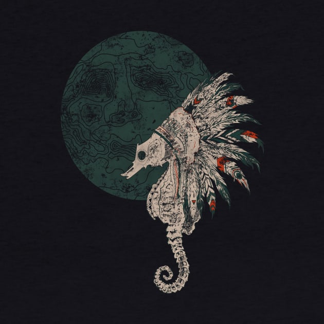 seahorse native night by somatosis